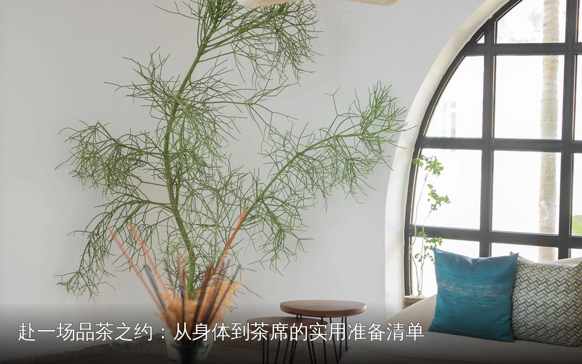 赴一场品茶之约：从身体到茶席的实用准备清单